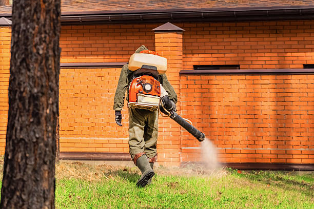 Trusted Bed Bug Control service in Arapahoe, NE - Nex Pest Control